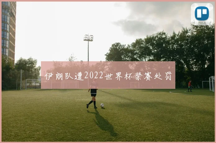 伊朗队遭2022世界杯禁赛处罚