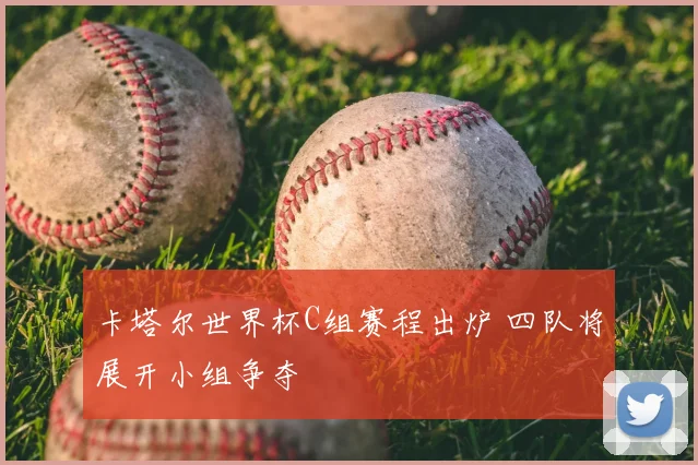 卡塔尔世界杯C组赛程出炉 四队将展开小组争夺