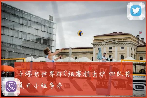 卡塔尔世界杯C组赛程出炉 四队将展开小组争夺